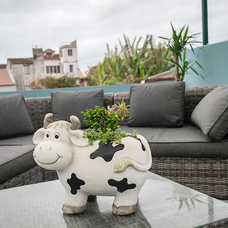 Francisco Terrace *